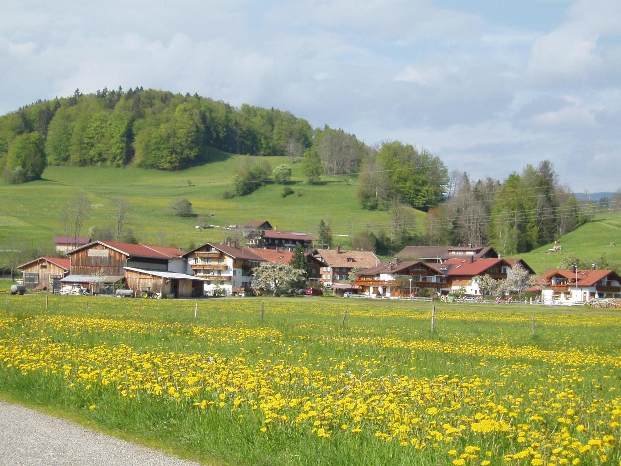 Gaestehaus Koch Fischen im Allgaeu Exterior photo